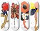 Girl x Caleb Gutierrez Blooming Flower Art Series Full Set 4 Skateboard Decks