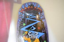 SANTACRUZ skateboard deck Haslam Snack Warrior Guest pre lssue 99in From Japan